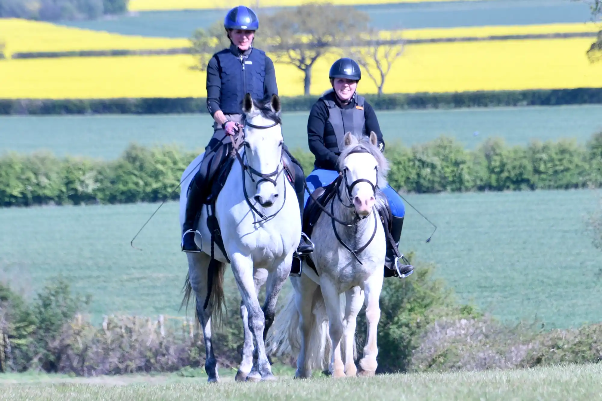 Out hacking – leading the world!